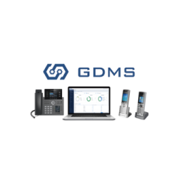 GDMS